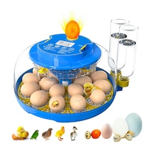 Altın Kuluçka-wonegg 18'li Tam Otomatik Kuluçka Makinesi