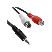 4227 3.5mm Stereo Erkek Dişi 2rca Tos Ses Kablo Çevirici Adaptör, Siyah