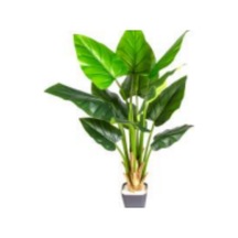 Yapay Alocasia - Fil Kulağı Rainbow Gökkuşağı 16 Yaprak 230 Cm. Çok Renkli