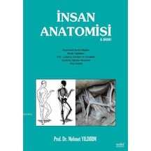 İnsan Anatomisi