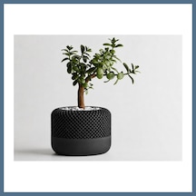 Buradabulabilirsin 3d Baskı Modern File Desenli Dekoratif Saksı - Minimal Çiçek Saksısı, Ev Ve Ofis Bitki Saksısı-siyah Bbz