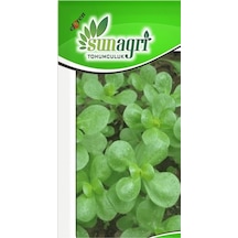 Sunagri Semiz Otu Tohumu