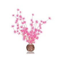 Bonsai Topu Pembe