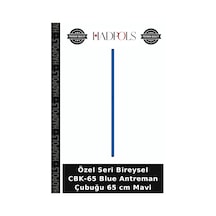 Özel Seri Bireysel Cbk-65 Blue Antreman Çubuğu 65 Cm Mavi