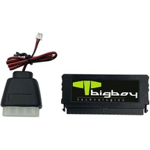 Bigboy BTDM141-2G 2 GB DOM 40 Pin 110-60Mb/s Dikey IDE Sunucu SSD