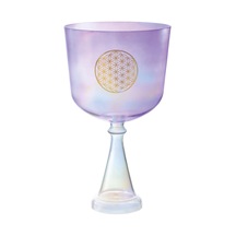 Meinl Sonic Energy Csc8fpfol Hayatın Çiçeği Kalp Çakrası 8'' Crystal Singing Ses Kadehi Purple