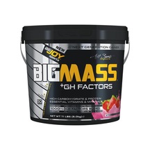 Bigjoy Sports Bigjoy Bigmass Go Gh Factors 5000 Gr