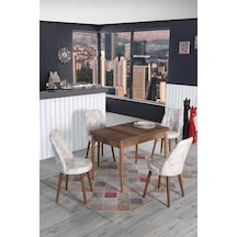 4 Kişilik Sabit Masa- Sandalye Takımı 70 x 110 Cm Mutfak Masası Takımı Yemek Masası Masa Takımı
