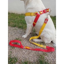 Köpek Göğüs Tasması Ayarlanabilir Ve Gezdirme Kayışı 2'li Set Orta Ve Büyük Irk Sarı & Kırmızı Taraftar