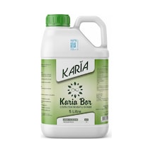 5 L