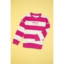 U.S. Polo Assn. Kız Çocuk Pembe Çizgili Bisiklet Yaka Sweatshirt 50317898-VR041