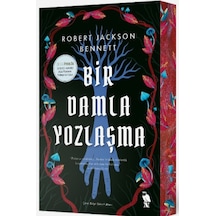 Bir Damla Yozlaşma