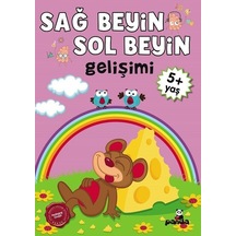5 Yaş Sağ Beyin - Sol Beyin Gelişimi- Panda