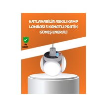 Çok Renkli