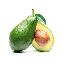 Aşılı Ettinger Avokado Fidanı 50-70 Cm - Don Dirençli Bahçenizin Verim Sigortası Tozlayıcı Tür