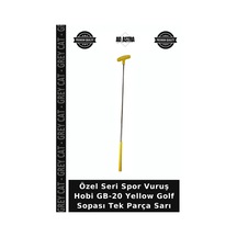 Sarı