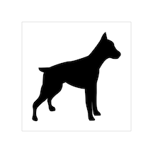 Köpek Folyo Sticker Derstv868 50cm Uzunluk Siyah