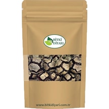Servi Kozalağı Cupressus Sempervirens Mazı 100gr