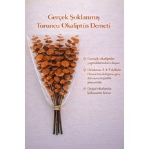 Turuncu