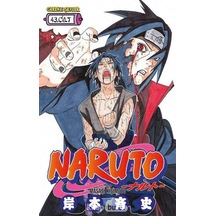 Naruto 43. Cilt Kapak Değişebilir