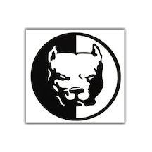 Kızgın Pibull Araba Sticker Yapıştırma
