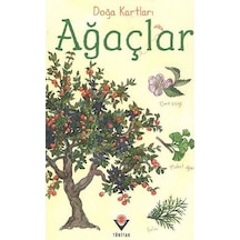 Doğa Kartları  - Ağaçlar  - Struan Reid  - Tübitak Yayınları