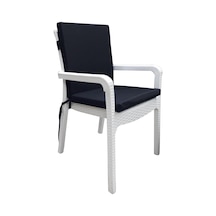 Bahçe Balkon Salon Siyah Sandalye Minderi 6'lı Arkalıklı Diğer
