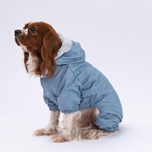 Pettrend Gri Kürklü Tulum Küçük Irk Köpek Yağmurluğu