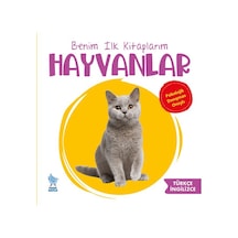Hayvanlar - İlk Kitaplarım- Minik Damla