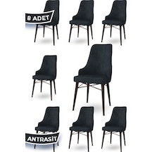Antrasit - Ceviz