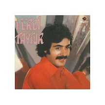 Ferdi Tayfur - Postacılar Plak 33 Devir