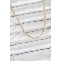 Cm 14k Renk Halka Model 60 Cm Kadın Kolye Diğer