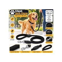 Doglife Köpek Gezdirme Sevk Kayışı Siyah Örgülü Fitil 120 Cm X 16 Mm Çok Renkli
