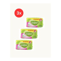 Ekonomik Kanatlı Uzun Ekonomik 16'lı X3 Adet