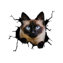 Siyam Kedisi 1 Araba Sticker Yapıştırması 17 Cm
