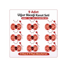 9 Lu Uğur Böceği Kostüm Seti Kanat Taç Asa "