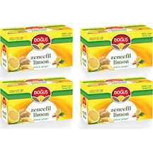 Doğuş Zencefil Limon Karışık Bitki Süzen Bardak Poşet Çay 4'lü 20 x 2 G