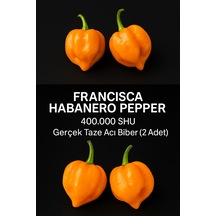 Francısca Habanero Pepper / 400.000 Scoville - Gerçek Taze Acı Biber