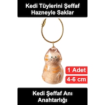 Anıanahtarlığı Kedi Tüyü Saklama Hazneli Şeffaf Figürlü Hatıra Anahtarlık İçi Boş Akrilik Evcil Hay