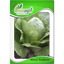 Yedikule Marul Tohumu 5 GR
