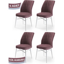 Canisa Flex Serisi, Üst Kalite Mutfak Sandalyesi, 4 Adet Gülkurusu Sandalye, Gürgen Beyaz Ahşap Ayak Sandalye Gülkurusu Ayaklar Beyaz