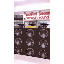 Rockford Fosgate P1-15 Kutu 250w Rms - 42cm Amerikan Subwoofer
