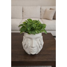 Modern Minimalist Yüz Figürlü Saksı & Kalemlik Dekoratif Obje Beyaz Beyaz