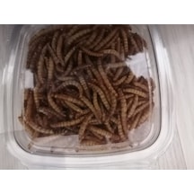 Kurutulmuş Un Kurdu 50 Gram