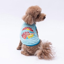 Pawstar Mavi The Sun T-shirt Küçük Irk-20366