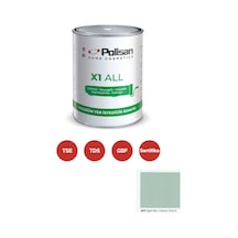 Polisan X1 All Dönüşüm Boyası 0,75 Lt İğde Nalı / 4527