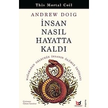 İnsan Nasıl Hayatta Kaldı - Adrew Doig - Beyaz Baykuş