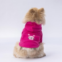 Pettrend Tavşan Kanguru Cepli Kedi-Köpek Hoodie Sweatshirt