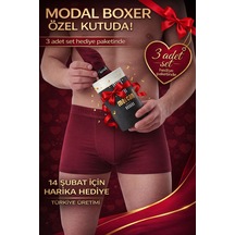 Mercan 3'lü Bordo Modal Boxer
