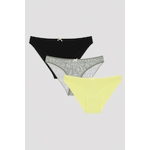 Zebra 3lü Slip Külot Çok Renkli